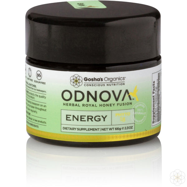 ODNOVA ENERGY